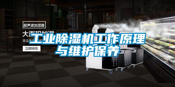 工業(yè)除濕機(jī)工作原理與維護(hù)保養(yǎng)