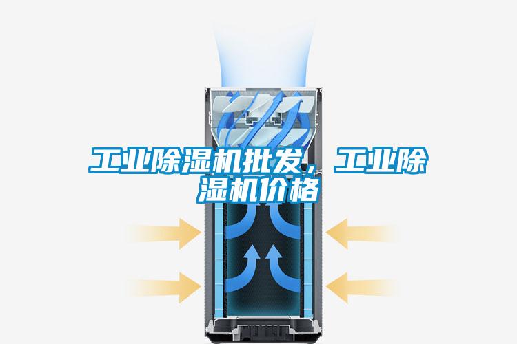 工業(yè)除濕機批發(fā)，工業(yè)除濕機價格