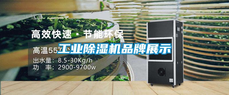 工業(yè)除濕機(jī)品牌展示
