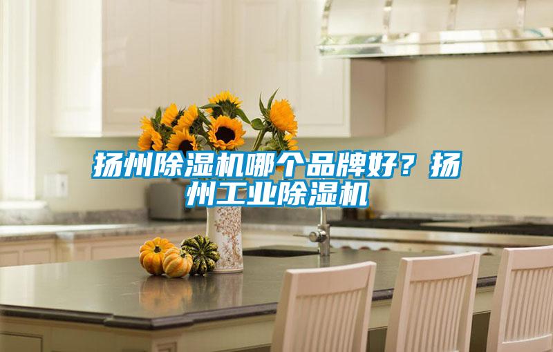 揚(yáng)州除濕機(jī)哪個品牌好？揚(yáng)州工業(yè)除濕機(jī)