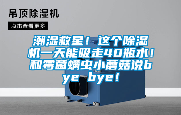 潮濕救星！這個除濕機一天能吸走40瓶水！和霉菌螨蟲小蘑菇說bye bye！