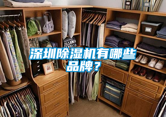 深圳除濕機(jī)有哪些品牌？