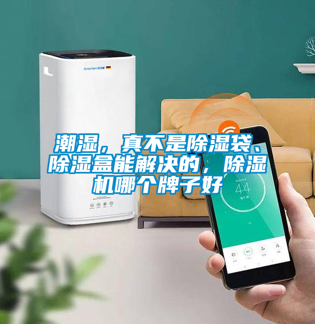潮濕，真不是除濕袋、除濕盒能解決的，除濕機(jī)哪個(gè)牌子好