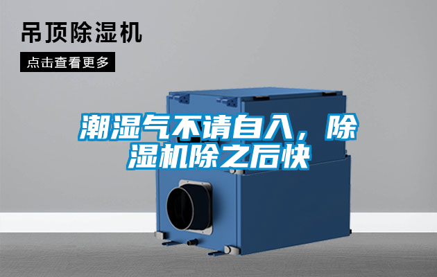 潮濕氣不請自入，除濕機除之后快