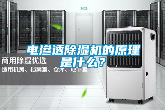 電滲透除濕機(jī)的原理是什么？