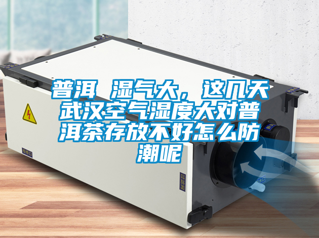 普洱 濕氣大，這幾天武漢空氣濕度大對(duì)普洱茶存放不好怎么防潮呢