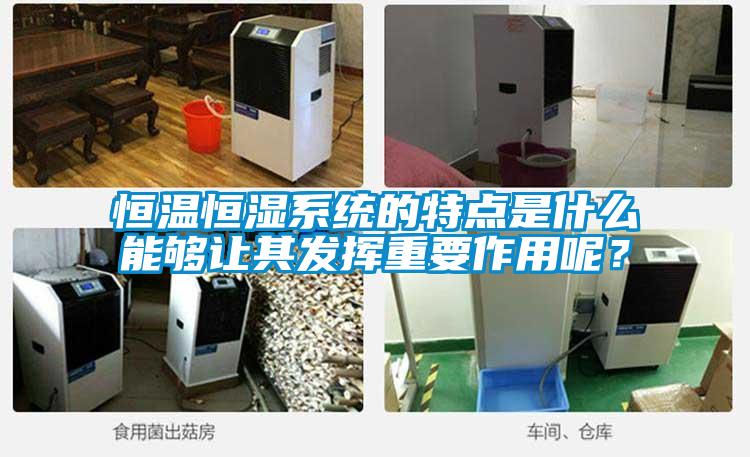 恒溫恒濕系統(tǒng)的特點是什么能夠讓其發(fā)揮重要作用呢?