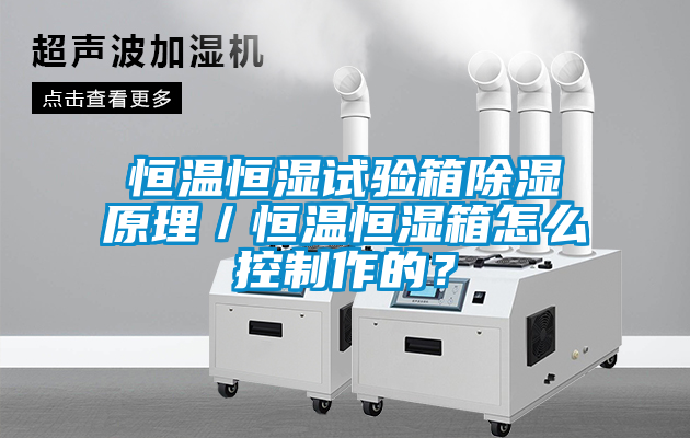 恒溫恒濕試驗箱除濕原理／恒溫恒濕箱怎么控制作的？