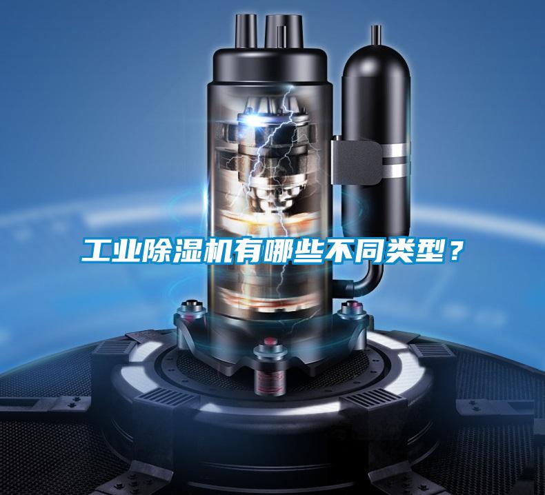 工業(yè)除濕機(jī)有哪些不同類型？