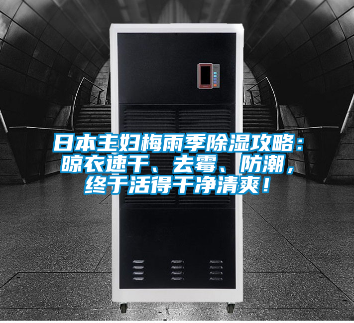 日本主婦梅雨季除濕攻略：晾衣速干、去霉、防潮，終于活得干凈清爽！