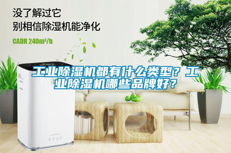 工業(yè)除濕機(jī)都有什么類型？工業(yè)除濕機(jī)哪些品牌好？