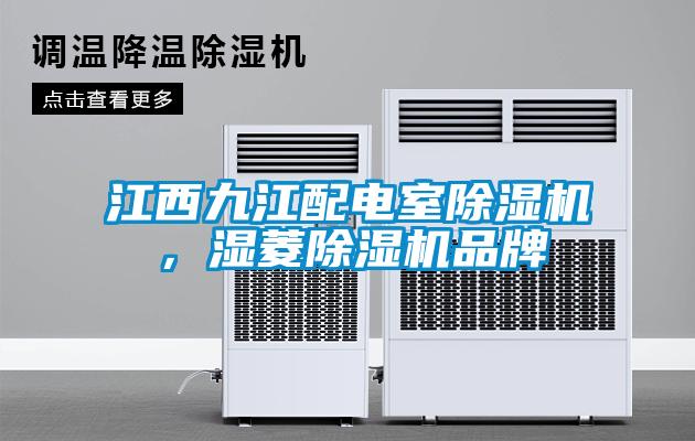 江西九江配電室除濕機(jī)，濕菱除濕機(jī)品牌