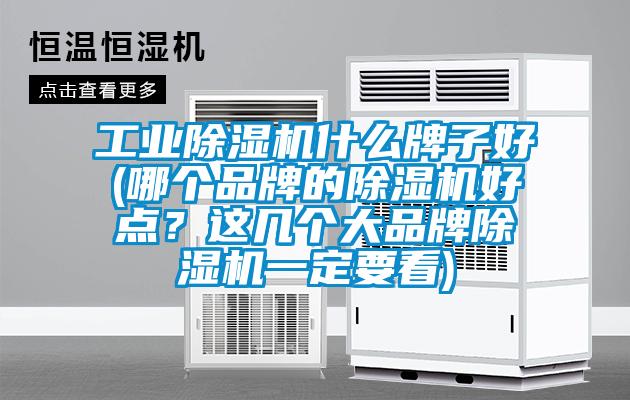 工業(yè)除濕機(jī)什么牌子好(哪個(gè)品牌的除濕機(jī)好點(diǎn)？這幾個(gè)大品牌除濕機(jī)一定要看)