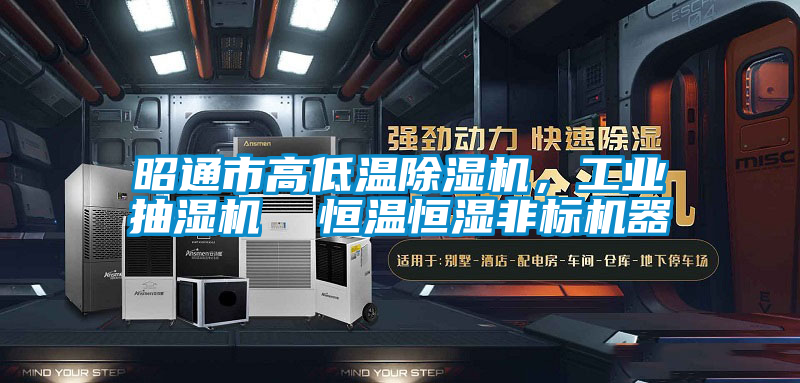 昭通市高低溫除濕機(jī)，工業(yè)抽濕機(jī)  恒溫恒濕非標(biāo)機(jī)器