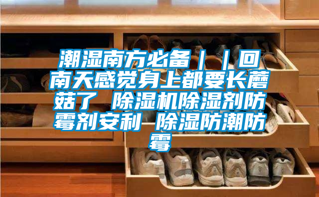 潮濕南方必備||回南天感覺身上都要長蘑菇了 除濕機(jī)除濕劑防霉劑安利 除濕防潮防霉