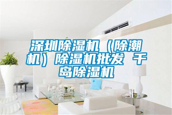 深圳除濕機(jī)(除潮機(jī))除濕機(jī)批發(fā) 千島除濕機(jī)