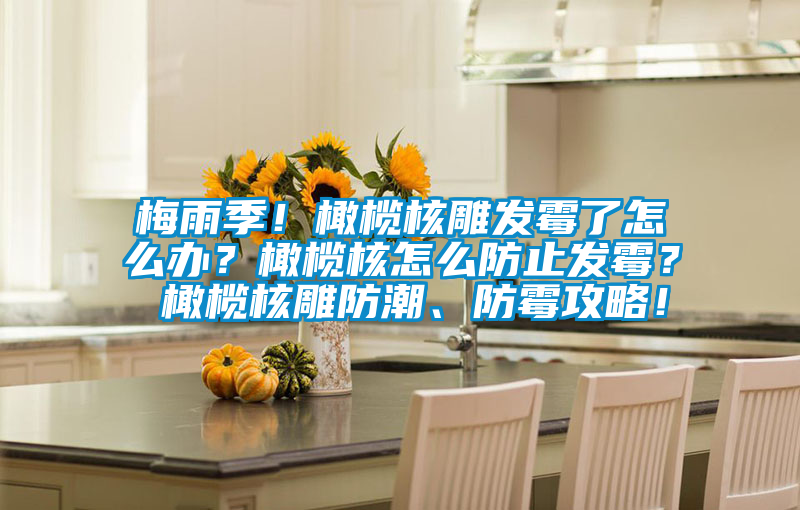 梅雨季！橄欖核雕發(fā)霉了怎么辦？橄欖核怎么防止發(fā)霉？ 橄欖核雕防潮、防霉攻略！