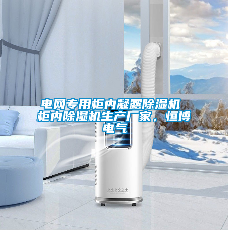 電網(wǎng)專用柜內(nèi)凝露除濕機(jī) 柜內(nèi)除濕機(jī)生產(chǎn)廠家，恒博電氣