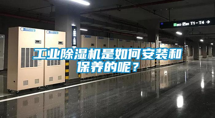 工業(yè)除濕機是如何安裝和保養(yǎng)的呢？