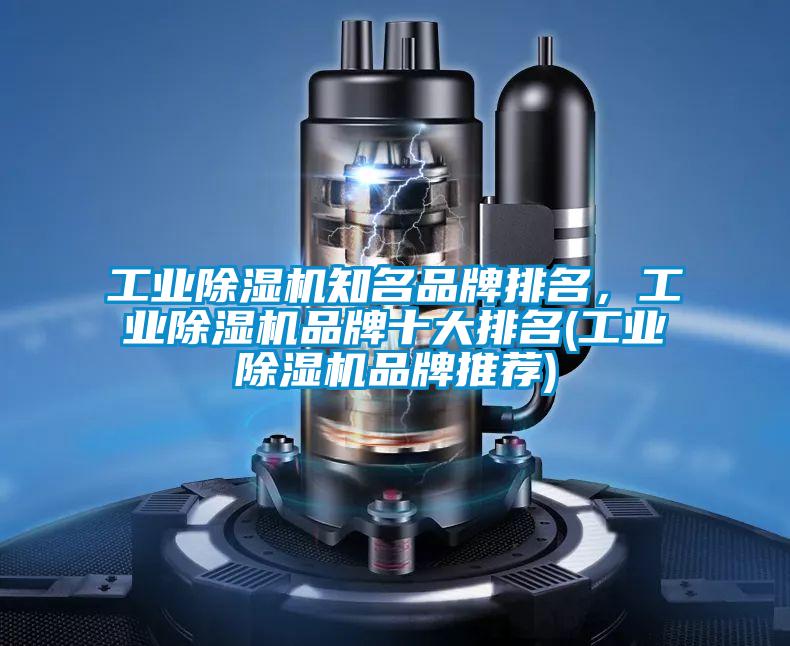 工業(yè)除濕機(jī)知名品牌排名，工業(yè)除濕機(jī)品牌十大排名(工業(yè)除濕機(jī)品牌推薦)