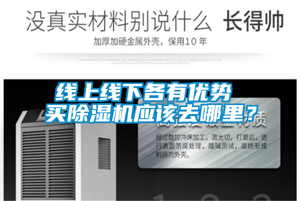 線(xiàn)上線(xiàn)下各有優(yōu)勢(shì) 買(mǎi)除濕機(jī)應(yīng)該去哪里？