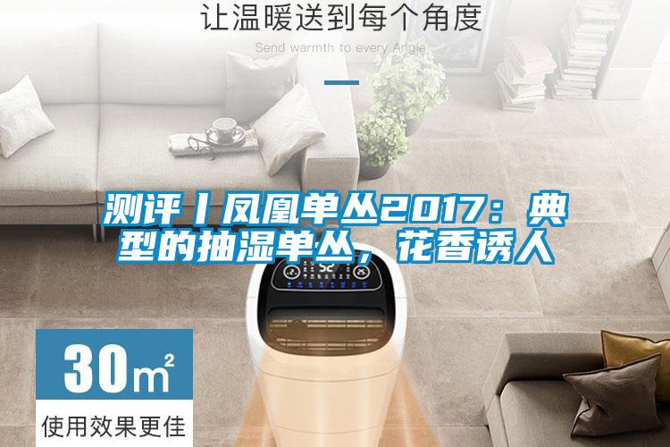 測評丨鳳凰單叢2017：典型的抽濕單叢，花香誘人