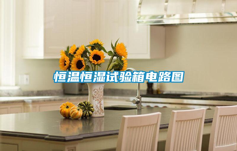 恒溫恒濕試驗(yàn)箱電路圖