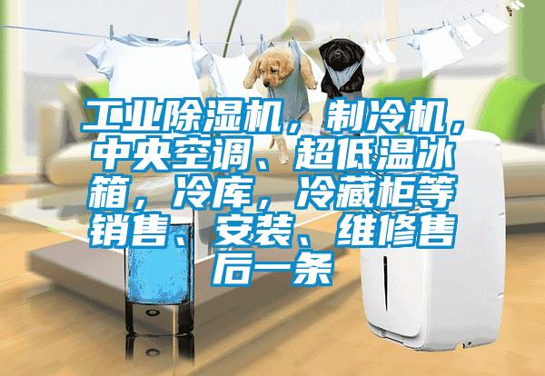 工業(yè)除濕機(jī)，制冷機(jī)，中央空調(diào)、超低溫冰箱，冷庫，冷藏柜等銷售、安裝、維修售后一條