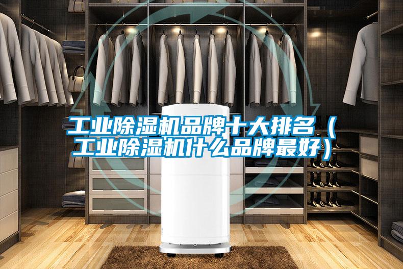 工業(yè)除濕機(jī)品牌十大排名（工業(yè)除濕機(jī)什么品牌最好）