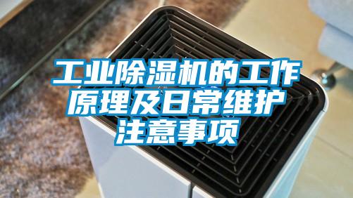 工業(yè)除濕機(jī)的工作原理及日常維護(hù)注意事項(xiàng)