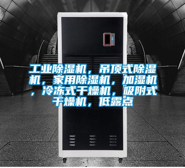 工業(yè)除濕機，吊頂式除濕機，家用除濕機，加濕機，冷凍式干燥機，吸附式干燥機，低露點