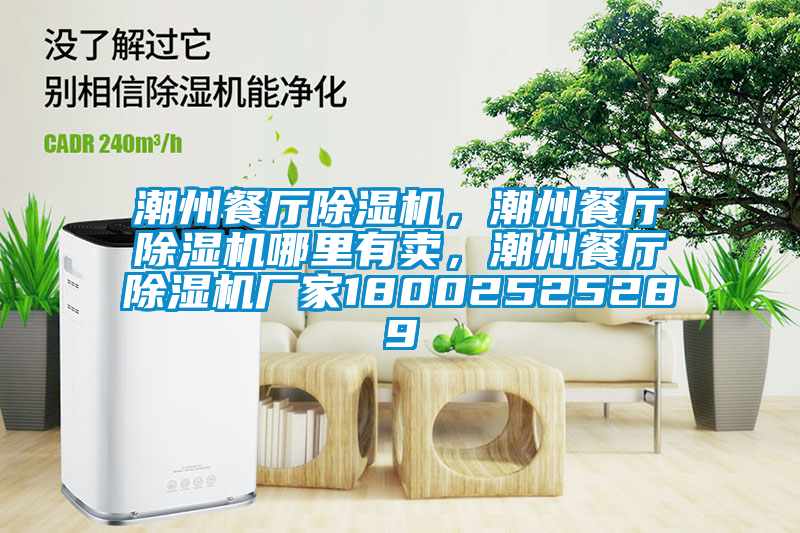潮州餐廳除濕機(jī)，潮州餐廳除濕機(jī)哪里有賣，潮州餐廳除濕機(jī)廠家18002525289