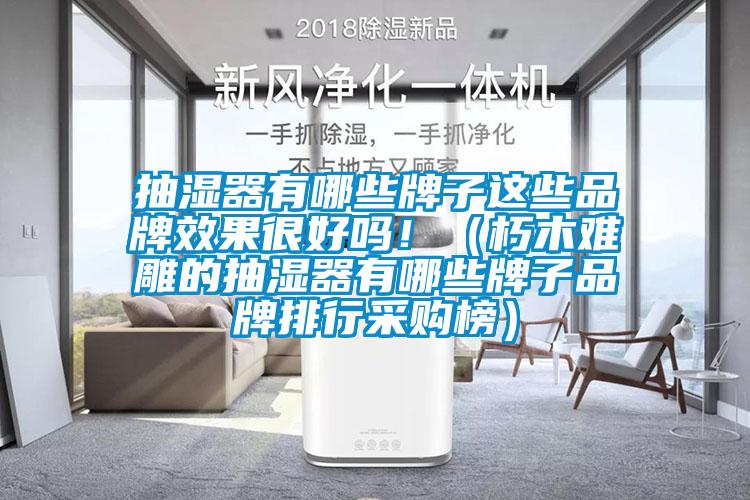 抽濕器有哪些牌子這些品牌效果很好嗎?。ㄐ嗄倦y雕的抽濕器有哪些牌子品牌排行采購(gòu)榜）