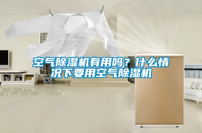 空氣除濕機(jī)有用嗎？什么情況下要用空氣除濕機(jī)