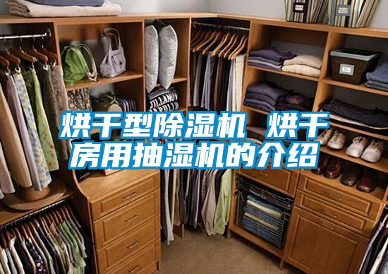 烘干型除濕機(jī) 烘干房用抽濕機(jī)的介紹
