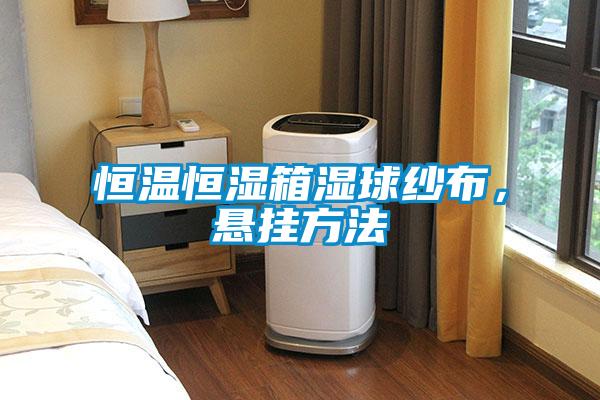 恒溫恒濕箱濕球紗布，懸掛方法