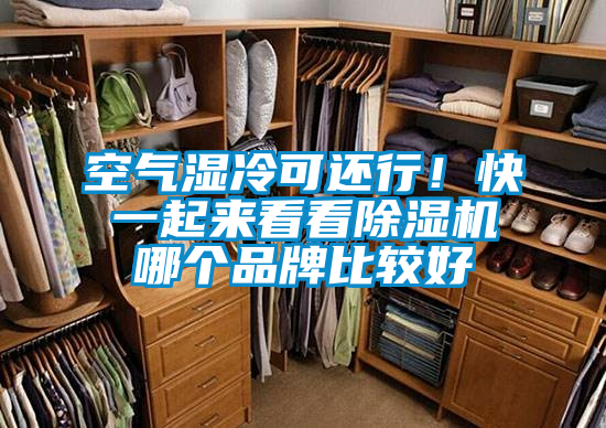 空氣濕冷可還行！快一起來看看除濕機哪個品牌比較好