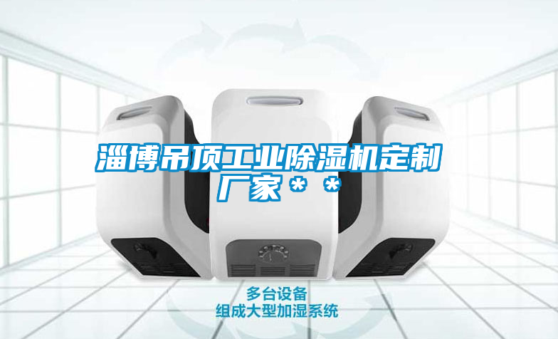 淄博吊頂工業(yè)除濕機(jī)定制 廠家＊＊