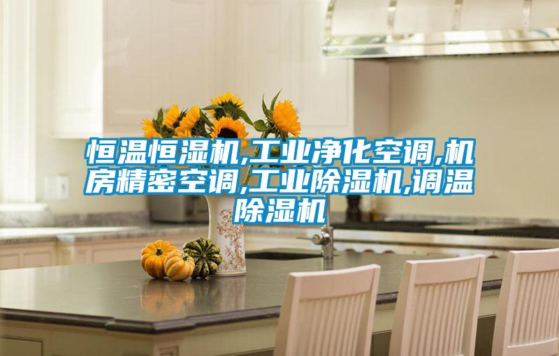 恒溫恒濕機,工業(yè)凈化空調,機房精密空調,工業(yè)除濕機,調溫除濕機