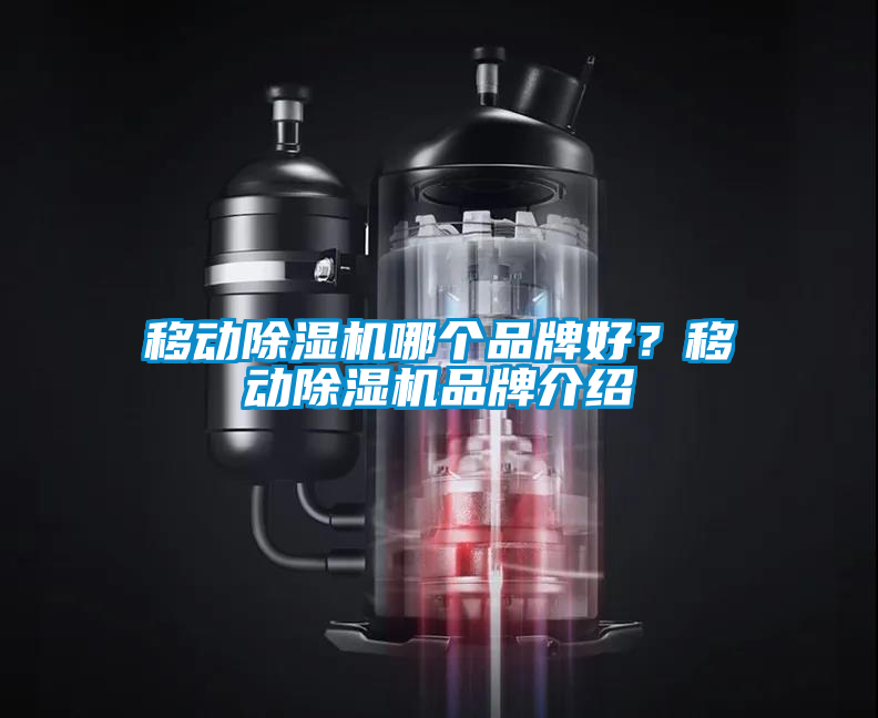 移動(dòng)除濕機(jī)哪個(gè)品牌好？移動(dòng)除濕機(jī)品牌介紹