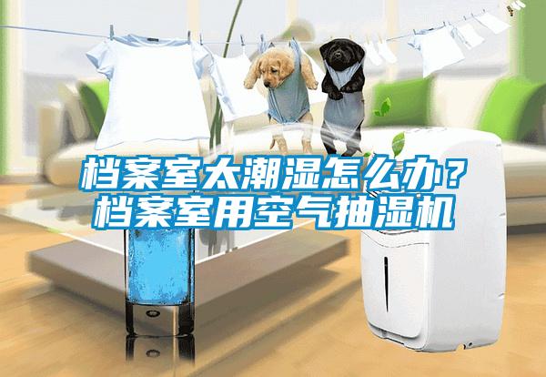 檔案室太潮濕怎么辦？檔案室用空氣抽濕機(jī)