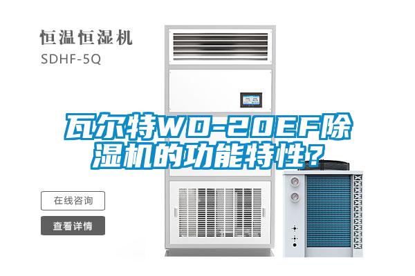 瓦爾特WD-20EF除濕機的功能特性？