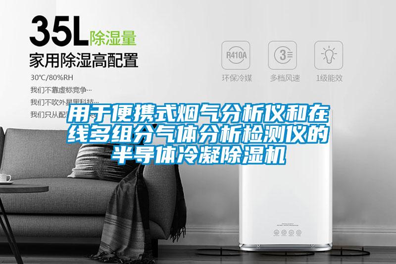 用于便攜式煙氣分析儀和在線(xiàn)多組分氣體分析檢測(cè)儀的半導(dǎo)體冷凝除濕機(jī)