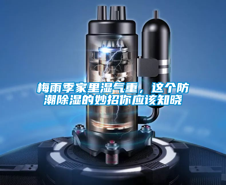 梅雨季家里濕氣重，這個防潮除濕的妙招你應該知曉