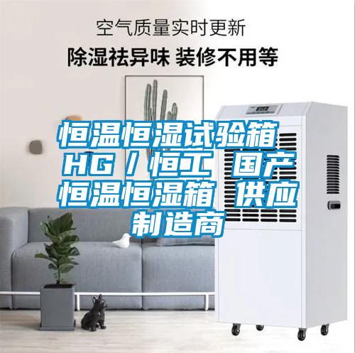 恒溫恒濕試驗箱 HG／恒工 國產(chǎn)恒溫恒濕箱 供應(yīng)制造商