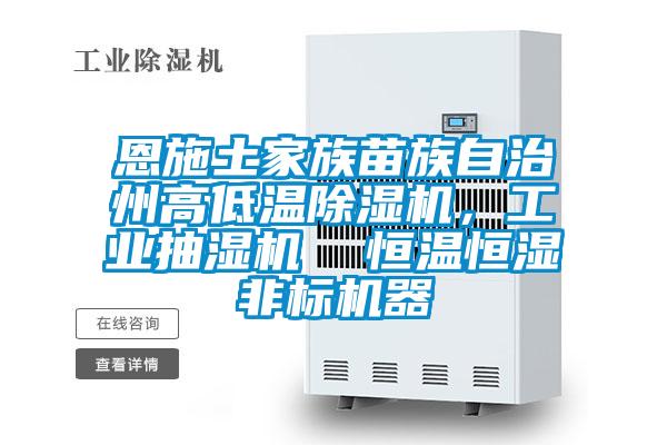 恩施土家族苗族自治州高低溫除濕機，工業(yè)抽濕機  恒溫恒濕非標(biāo)機器