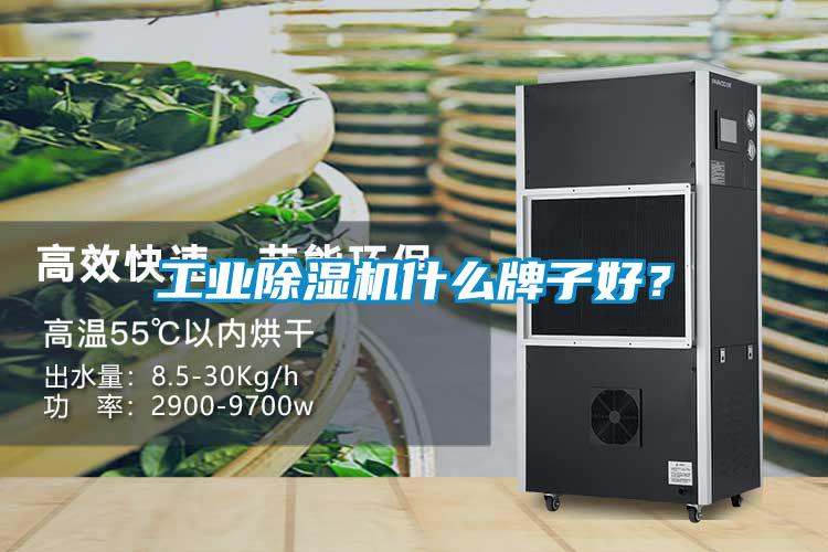 工業(yè)除濕機(jī)什么牌子好？