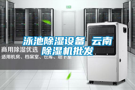 泳池除濕設備 云南除濕機批發(fā)