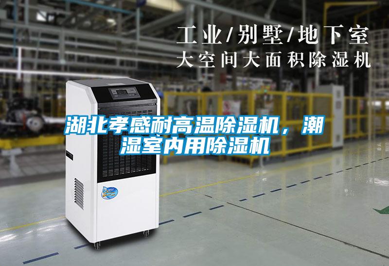 湖北孝感耐高溫除濕機(jī)，潮濕室內(nèi)用除濕機(jī)