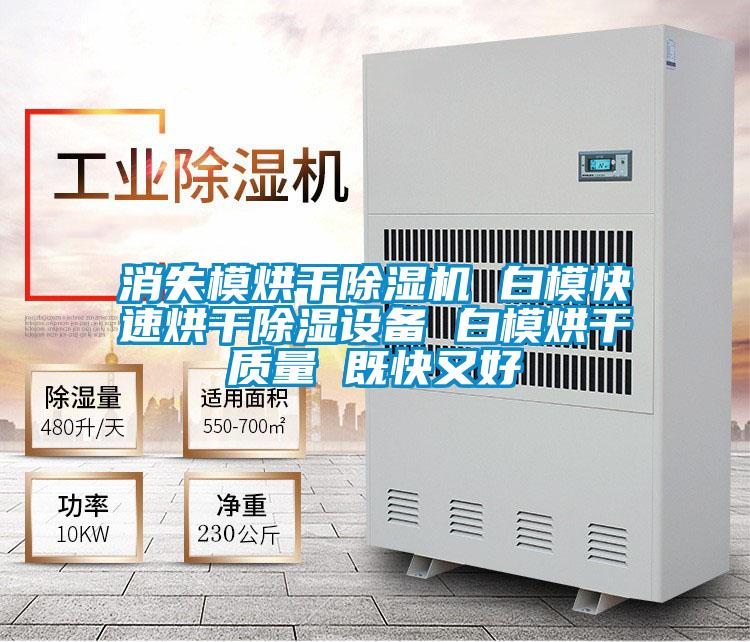 消失模烘干除濕機(jī) 白模快速烘干除濕設(shè)備 白模烘干質(zhì)量 既快又好